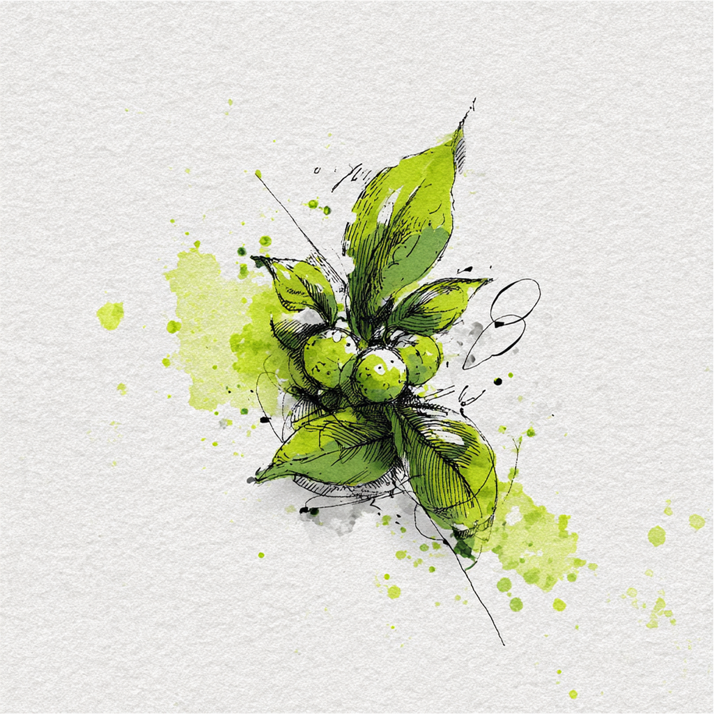 Caffeine (Green Tea)